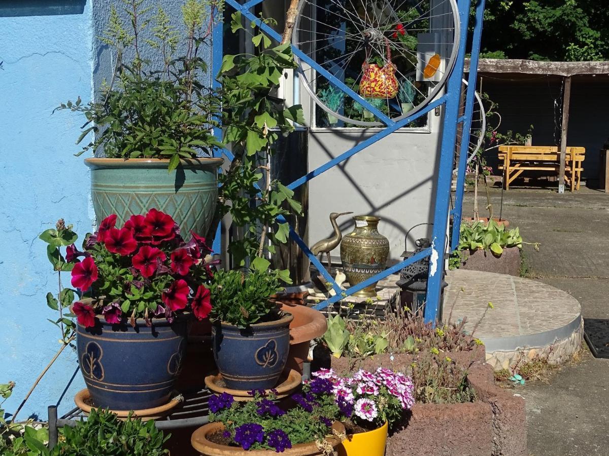 מלון באסטורף Gasthof Blaues Haus מראה חיצוני תמונה