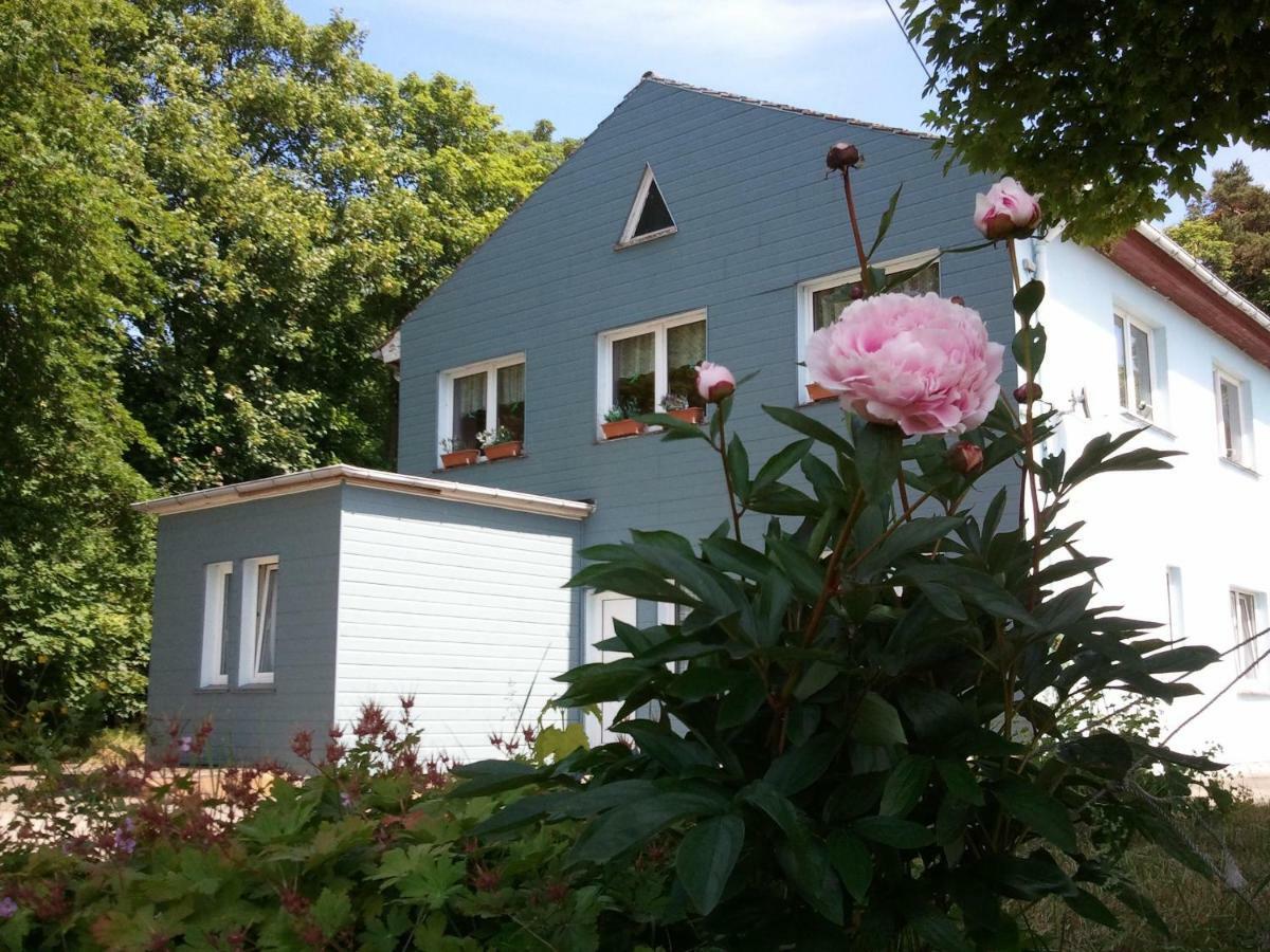 מלון באסטורף Gasthof Blaues Haus מראה חיצוני תמונה